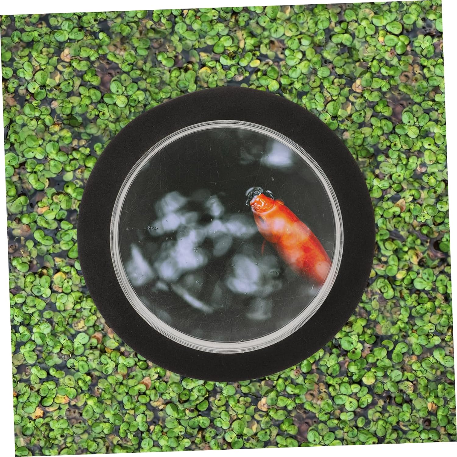 VANZACK Pond Floating Cover Fish Dome Acrylic Floating Plant Ring Aquarium Decor
