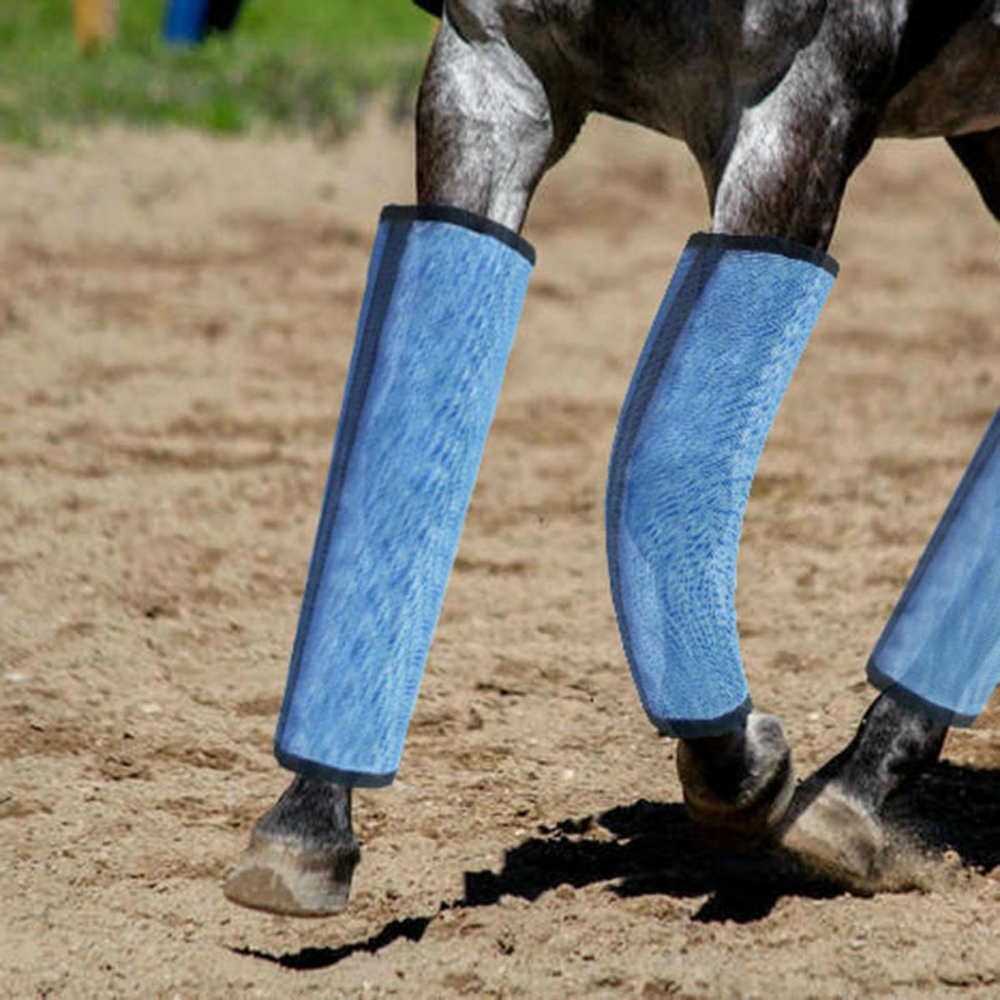 Articoli per Animali Domestici Leggings Anti-zanzara E Anti-Mosca Traspirante Mesh Anti-collisione, di Protezione del Cavallo, Attrezzature Cavallo-Blu