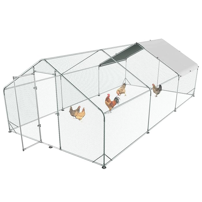 Buy Unovivy Large Metal Chicken Coop, Outdoor Walkin Poultry Cage Hen