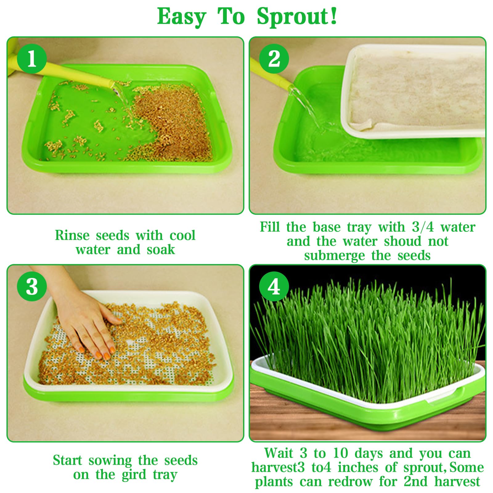 5 Pezzi Vassoi per la Germinazione Dei Semi Germogliatore Per Semi Vassoi per Semi 34X25cm Vassoio di Germinazione di Grande Capacità Propagatore Idroponico Sano Senza BPA