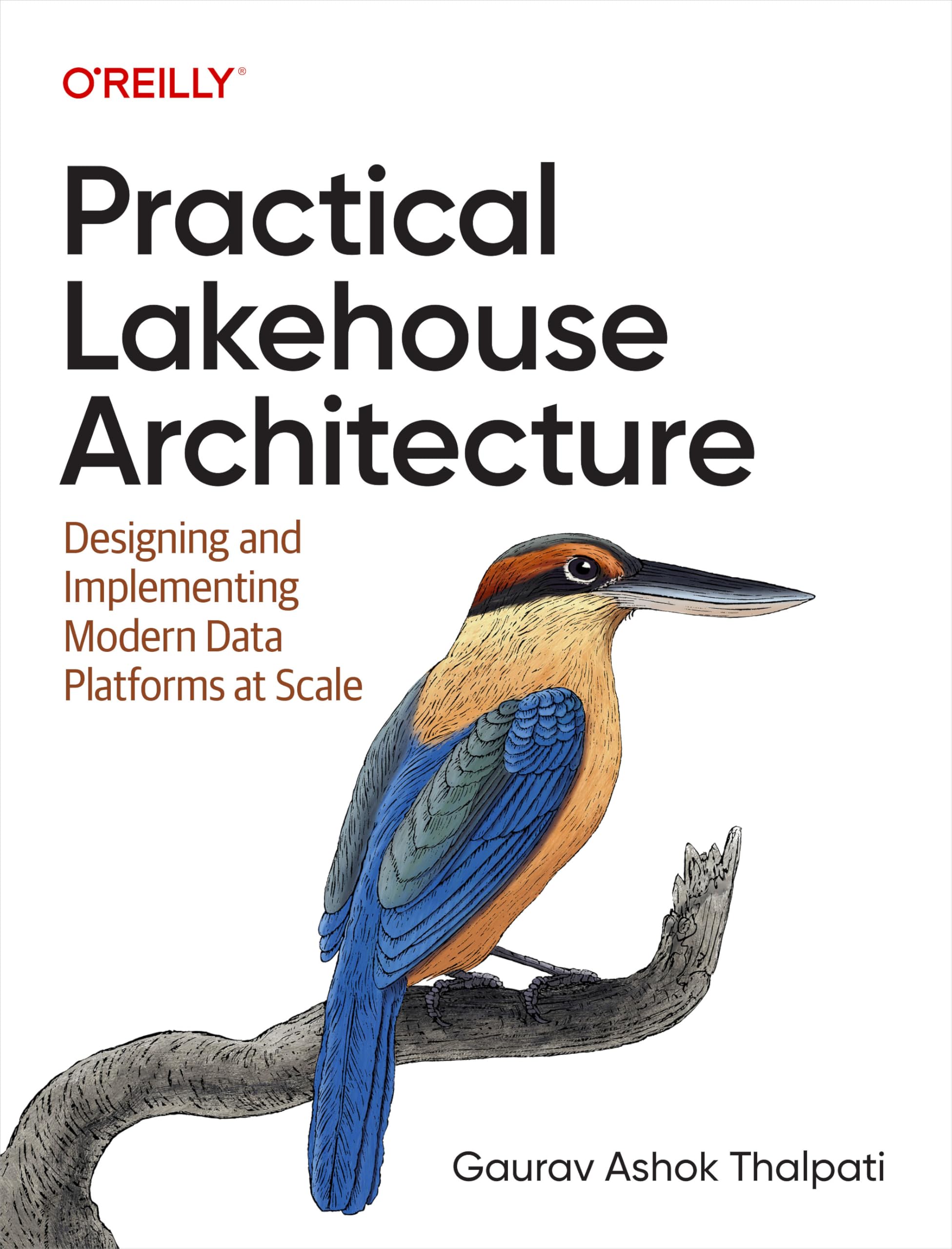 Practical Lakehouse Architecture: Designing and Implementing Modern Data Platforms at Scale (English Edition)