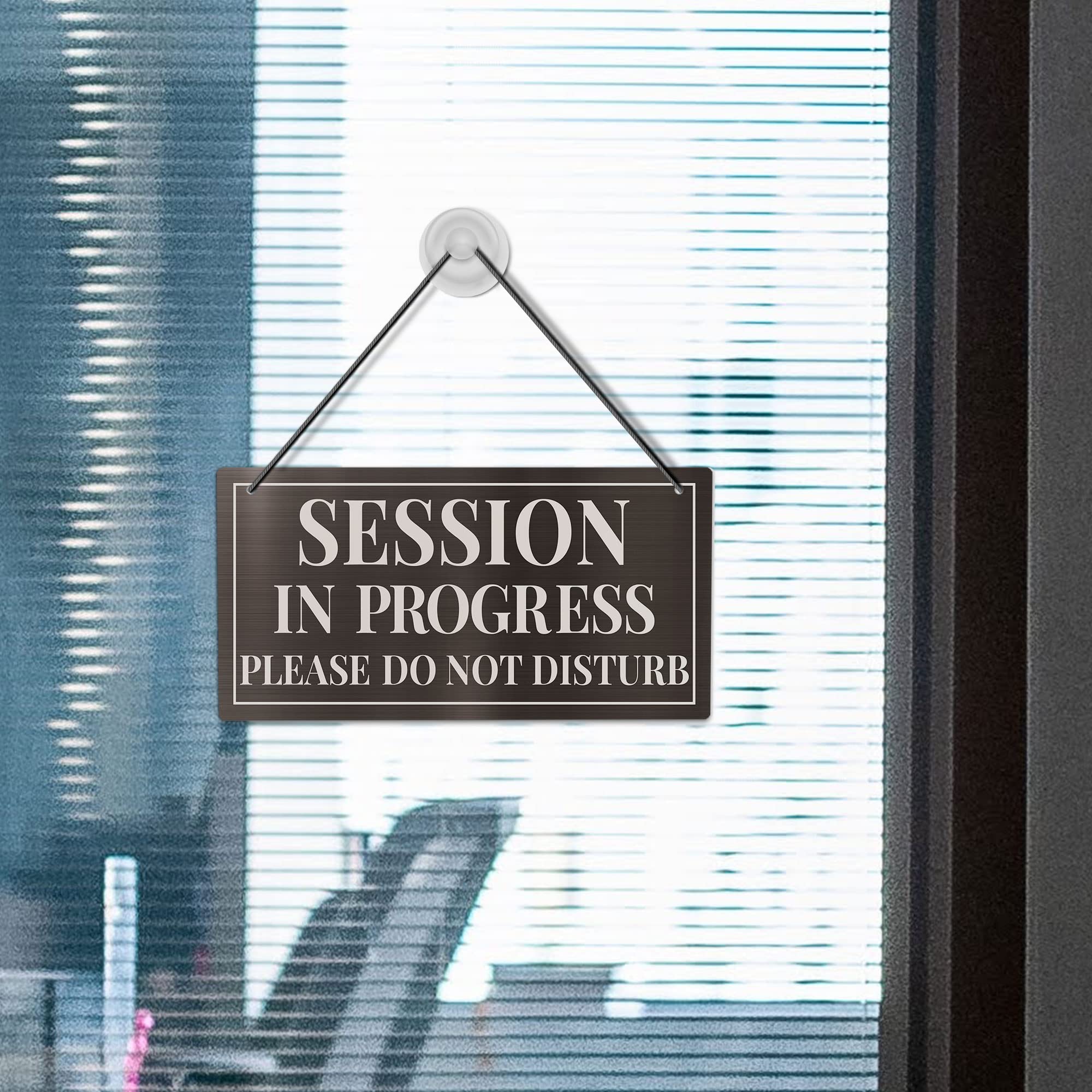 Door Sign Putuo Decor Meeting In Progress Please Do Not Disturb Door ...