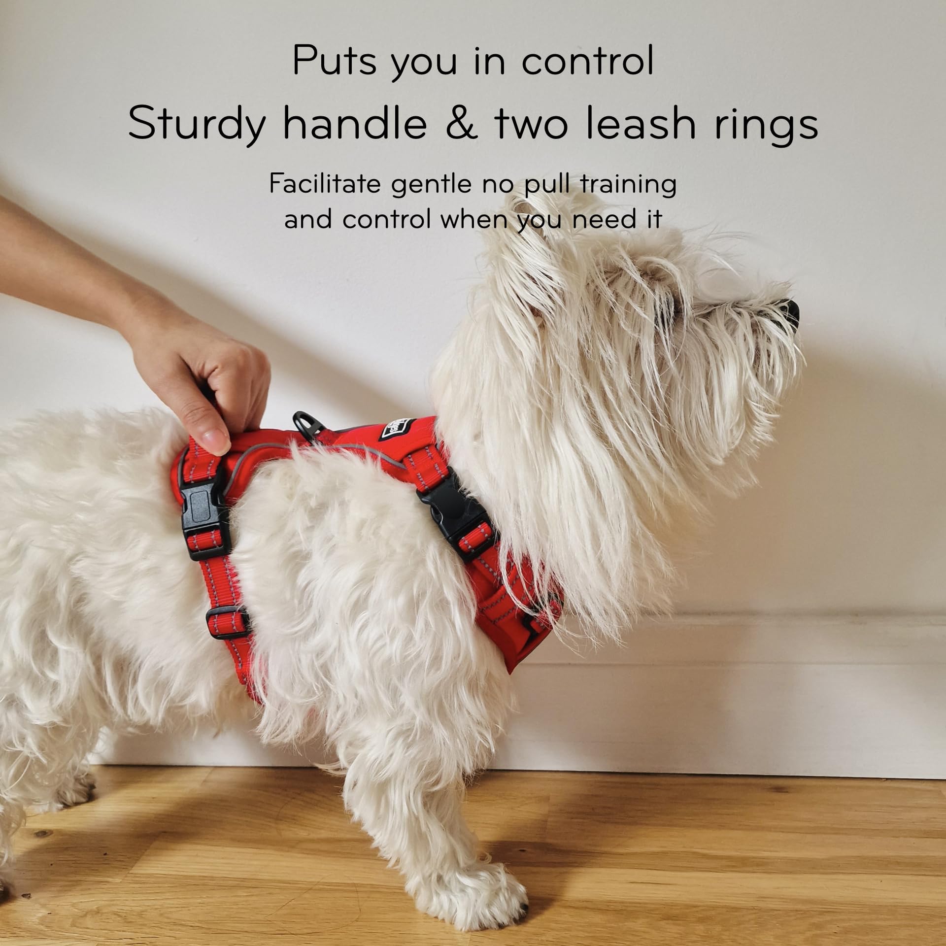 TruFit Comfort - Arnés ajustable para perro, fácil de llevar, entrenamiento sin tirones, sin rozaduras, reflectante de seguridad, cómodo pequeño, mediano y grande (azul oscuro, L, ajuste