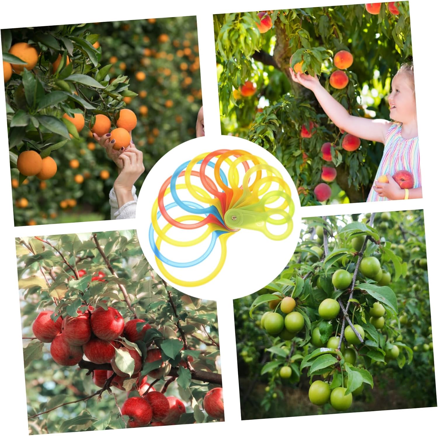 1set Plastic Fruits Measuring Lap Tool Diameter Measuring Ring for Oranges Apples Peaches and More Durable Measurement Circle Random Colors