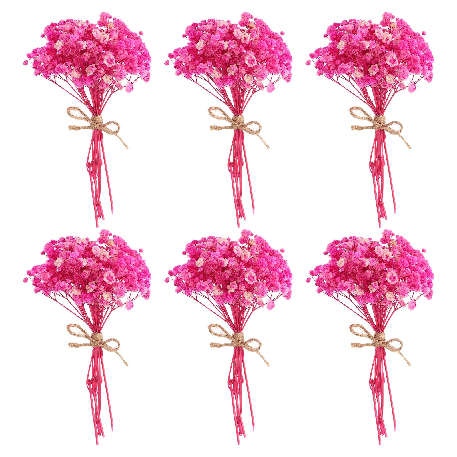 PATIKIL Mini Dried Flower Bouquet,6Pcs Breath Natural Wildflower Rose Red