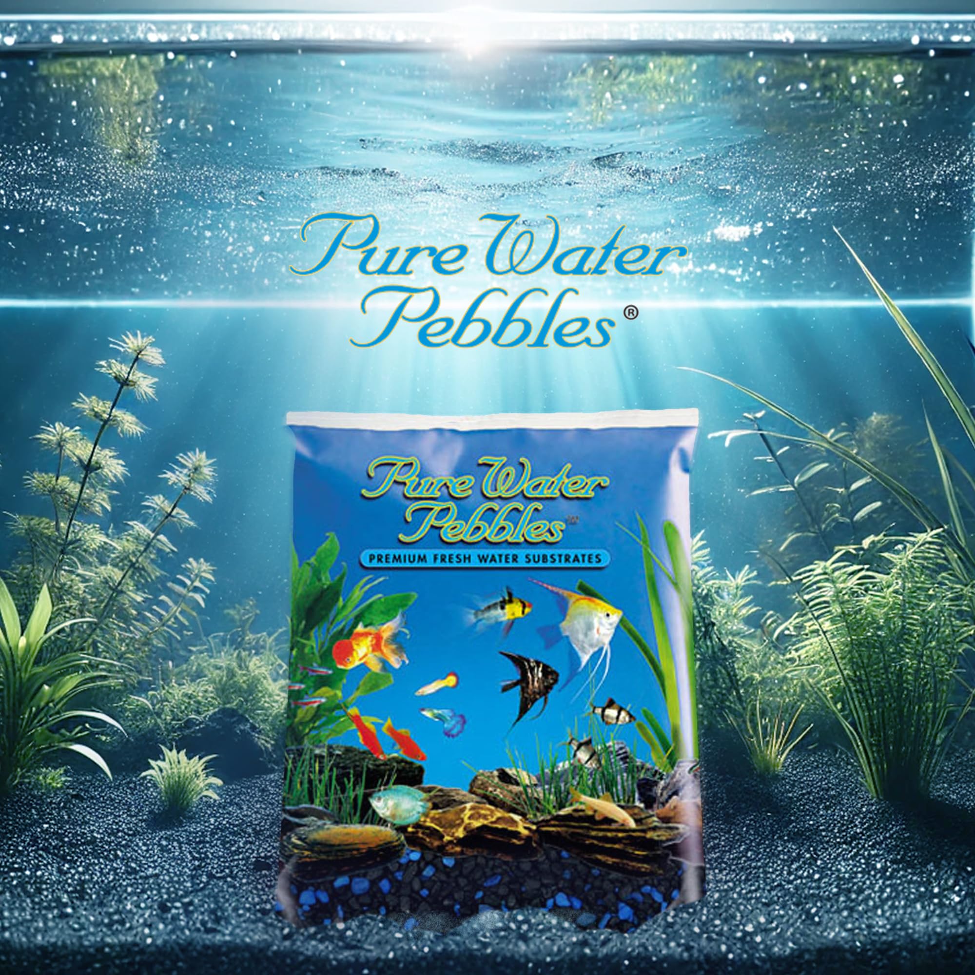 Pure Water Pebbles Gravier pour Aquarium, 2,3 kg, Midnight Glo