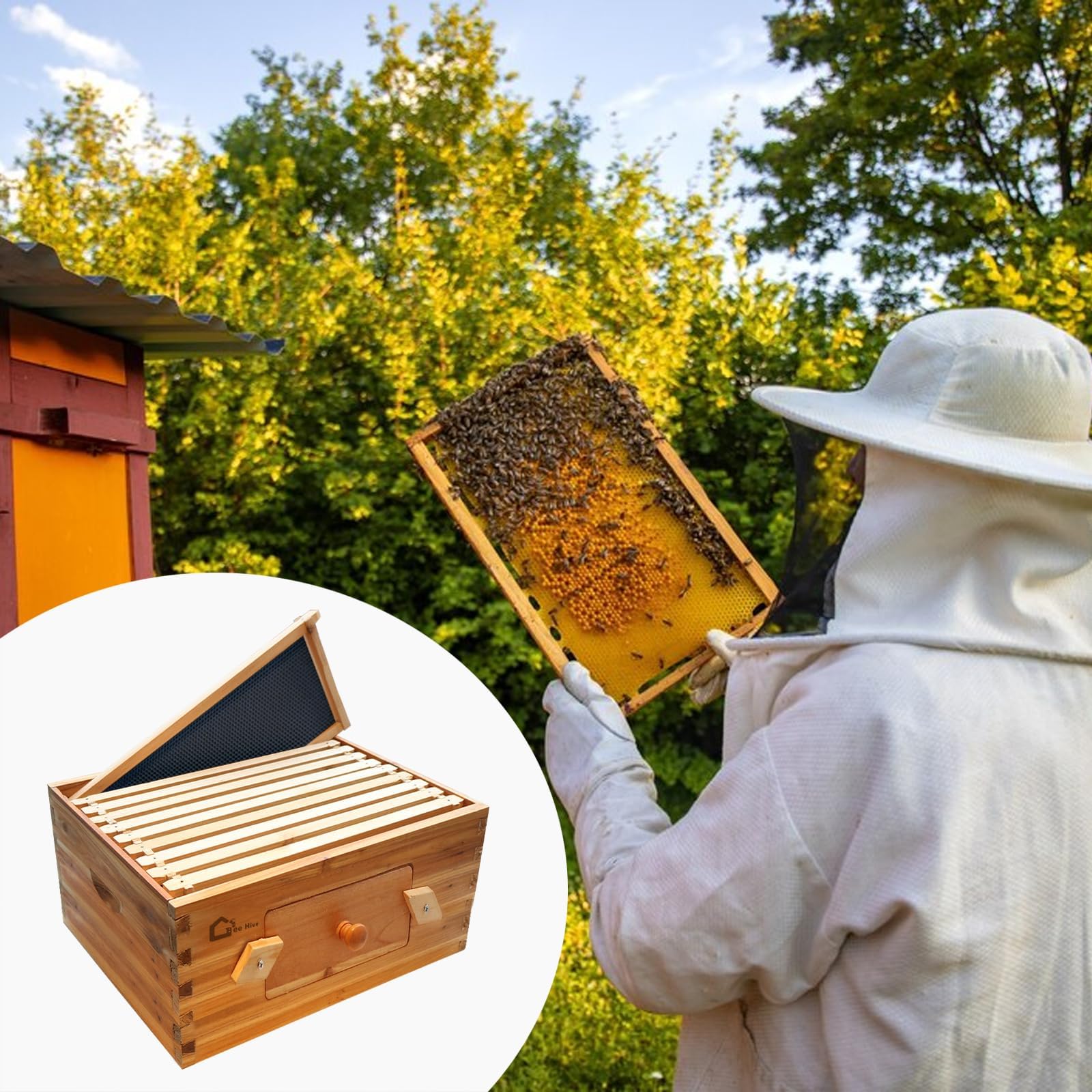 Bienenstock-Starterset, Ablegerkasten mit 10 tiefer Waben, Massivholz Beute mit Holzrahmen und gewachstem Fundament, Bienenstockkasten Nachhaltig Imkereibedarf, Bienenhaus transparenten AcrylfensternA