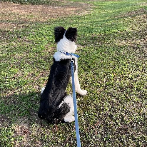 Miniatura 7 de Juego de collar y correa para perro, correas impermeables ajustables a prueba de olores para perros grandes, medianos y pequeños, correa de perro de
