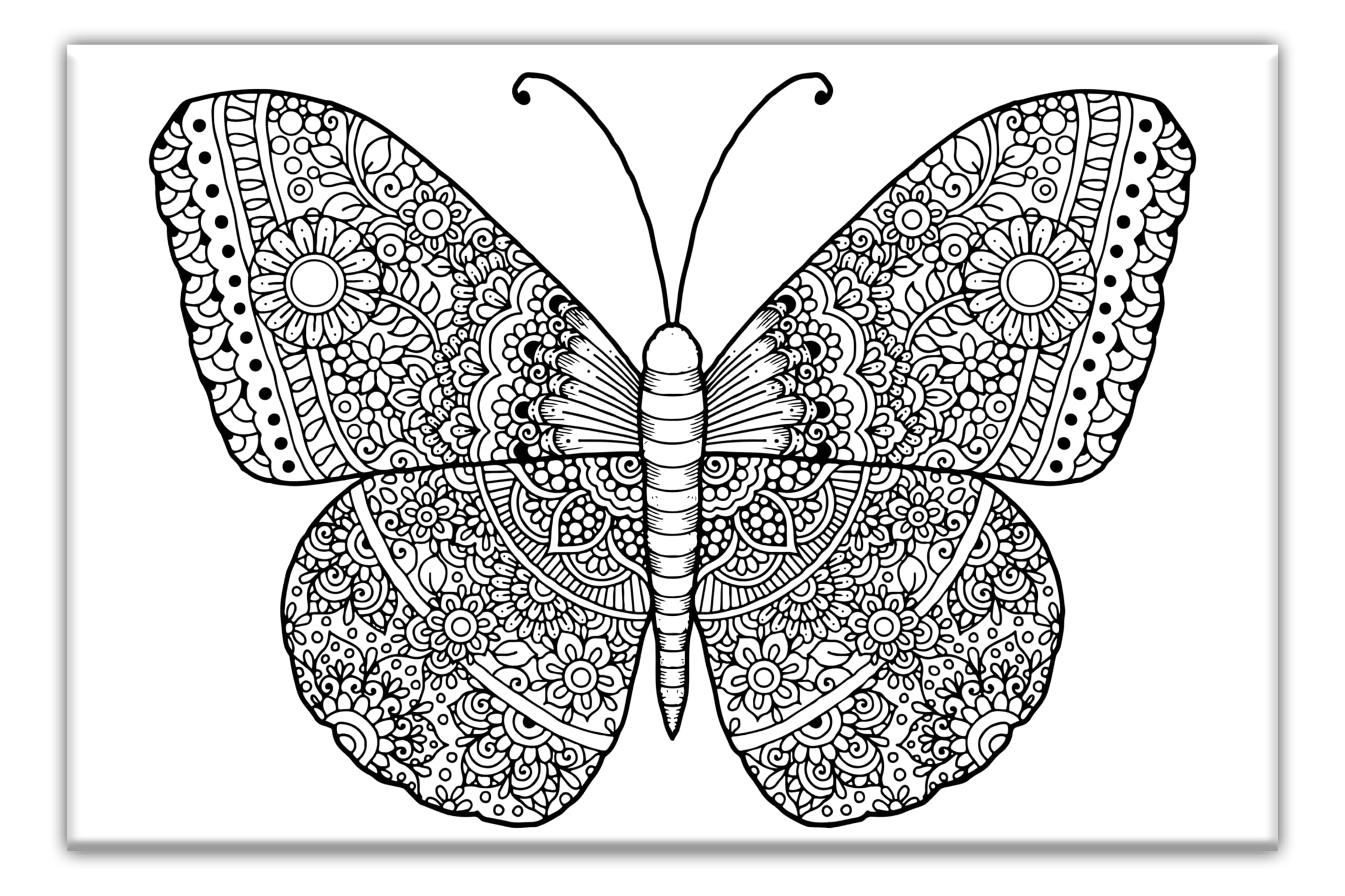Butterfly pre painted, Stretched primed canvas to color, 8 x 12 Inches | Premium Handmade Pre drawn Canvas | Art and Sip Party, DIY Kit, Party favor | Easy & fun drawings to color | Wall Art