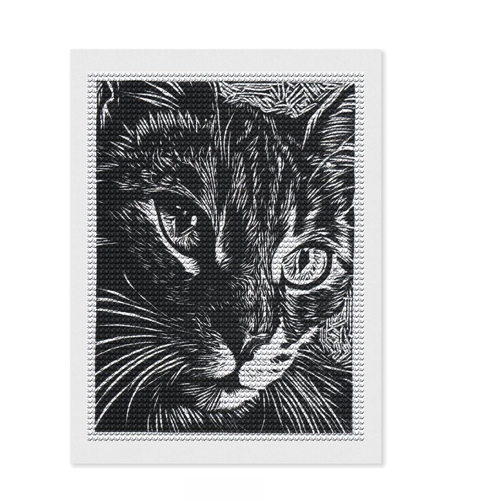 Junmoney Black Cat's Gaze Full Drill Diamond Painting Kit 12"x16", Detailed Printed Canvas, Living Room Decor, Boho Decor, Holiday Gift Idea