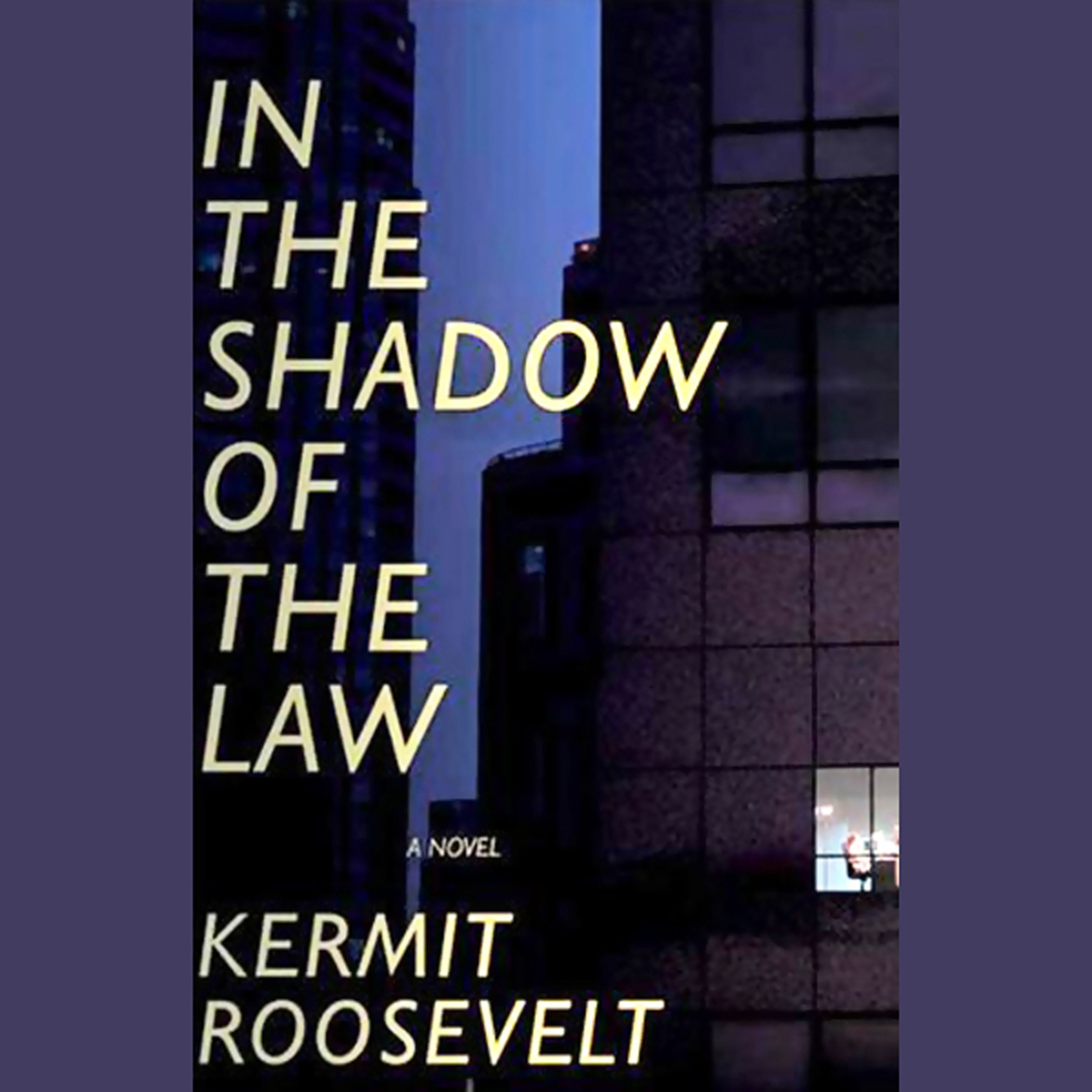 Cover art for In the Shadow of the Law