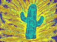 Review Image by John John