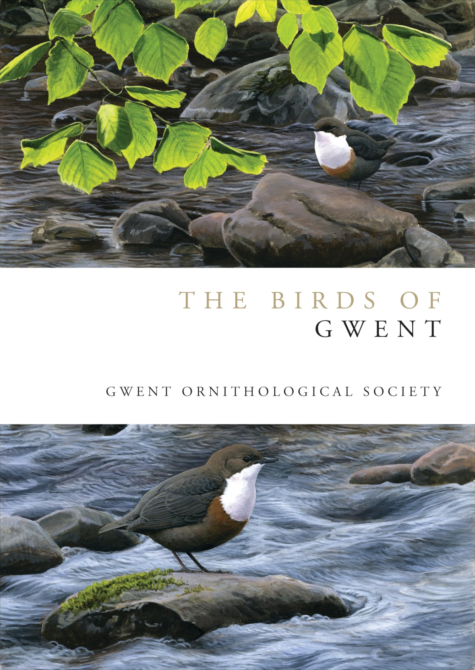 Buy The Birds of Gwent (Helm County Avifauna) — BookShops.in