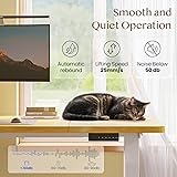 FLEXISPOT Escritorio Elevable Eléctrico Mesa Regulable en Altura 180x80 cm con 2 Potentes Motores Escritorio Estable Escritorio de pie Eléctrico Regulable en Altura con Función Memoria(Blanco+Arce) - 9