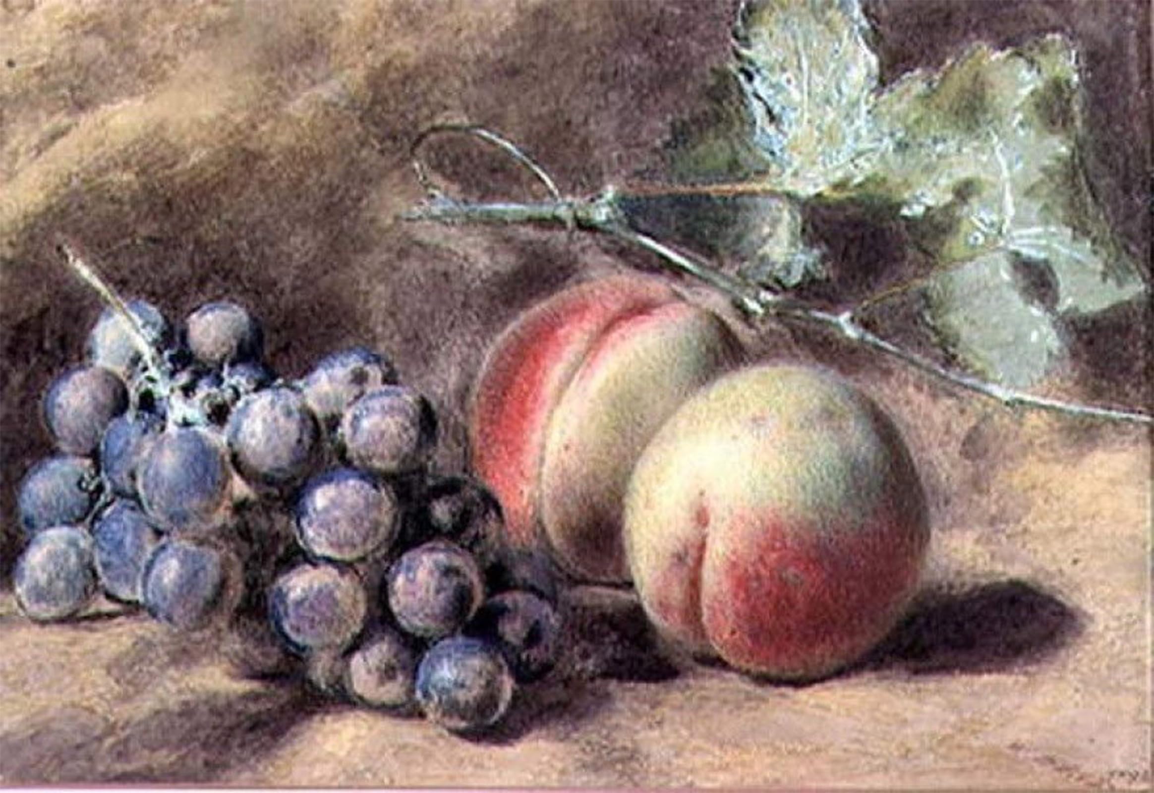 ARTXLXXBN Famous Prints Artwork Pictures Poster Painting Art Grapes and Peaches by William Henry Hunt Artwork Landscape Pictures for Home Decor 60x90cm