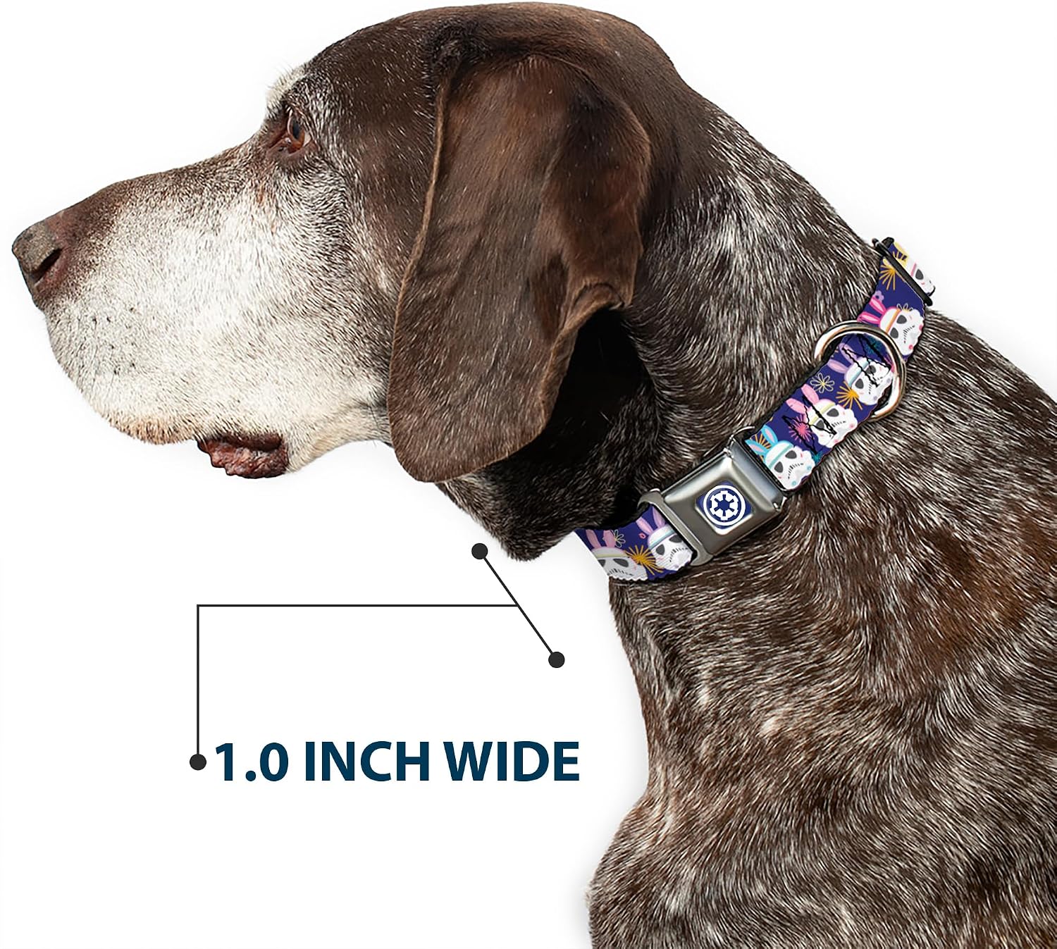 Star Wars Pet Collar, Dog Collar Metal Seatbelt Buckle, Star Wars Holiday Stormtrooper Easter Bunny Ears Purple, 15 to 24 Inches 1.0 Inch Wide