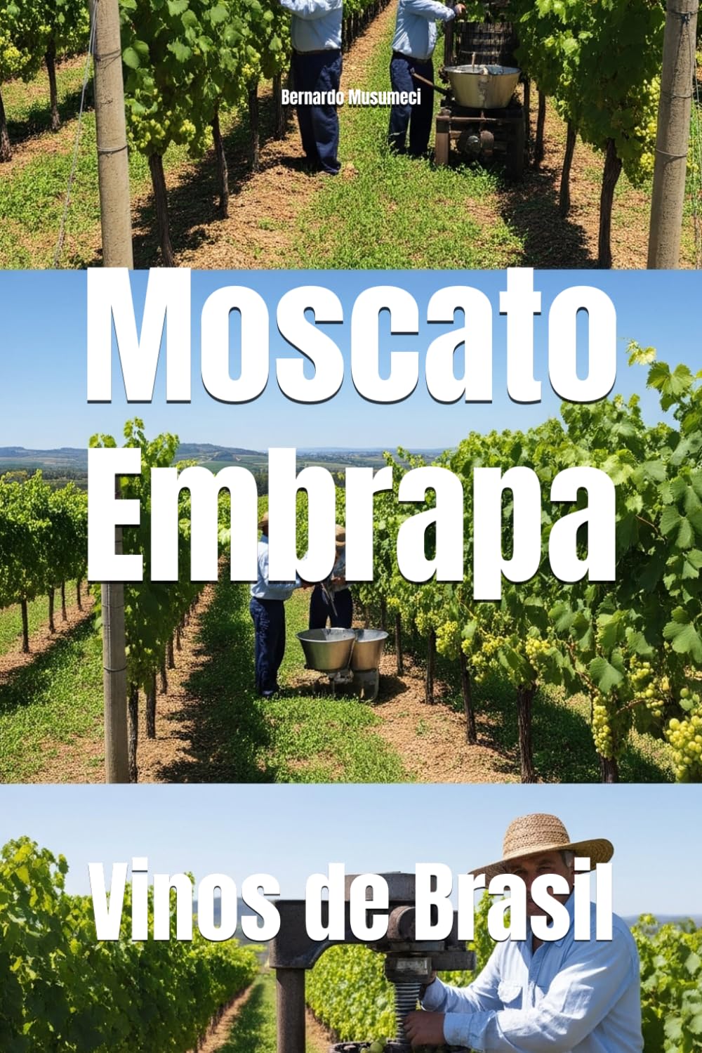 Moscato Embrapa: Vinos de Brasil (Wines of the World: Brazil)