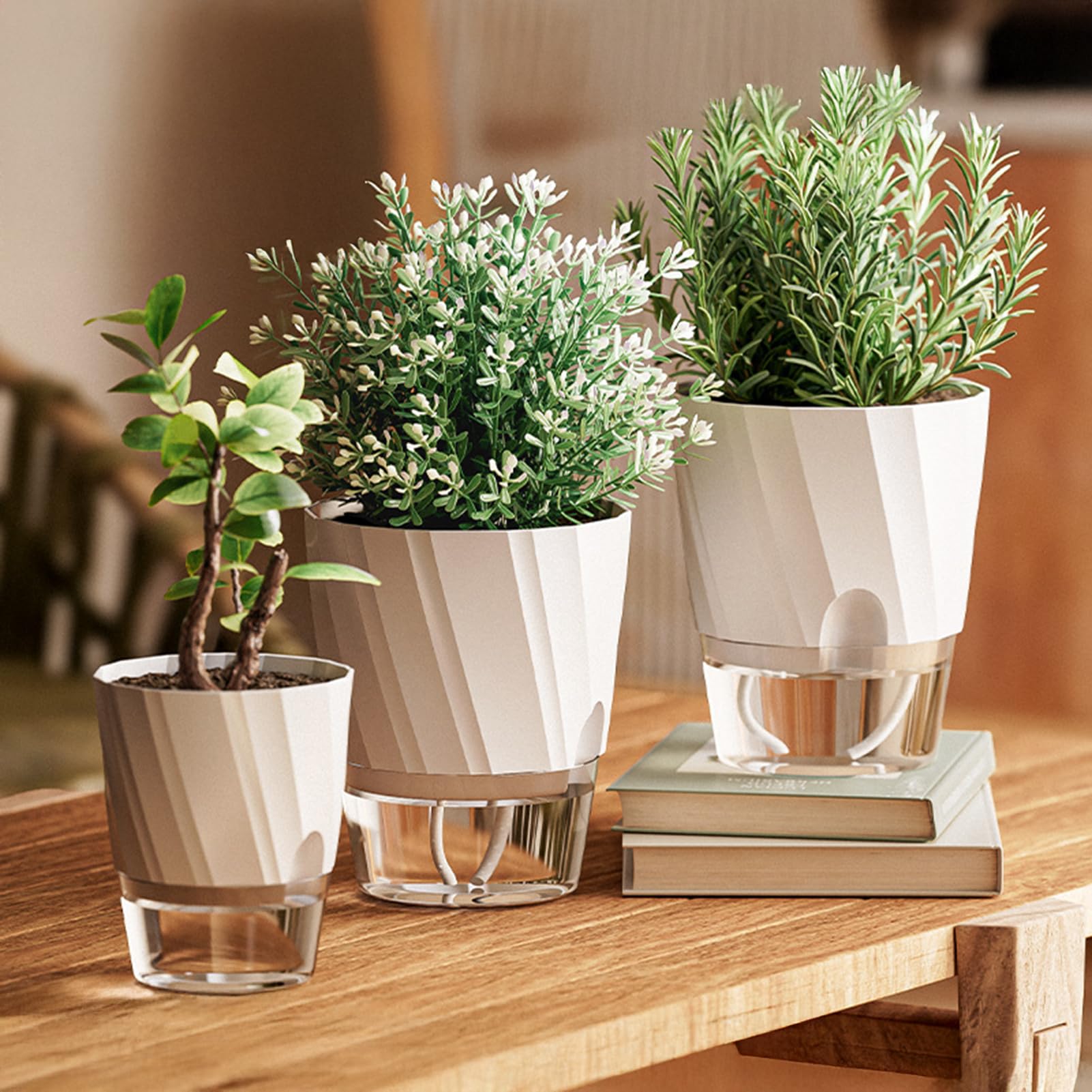Lot de 3 pots à arrosage automatique avec trou de drainage - Réservoir transparent - Pour intérieur et extérieur - Avec soucoupe - Avec corde de mèche