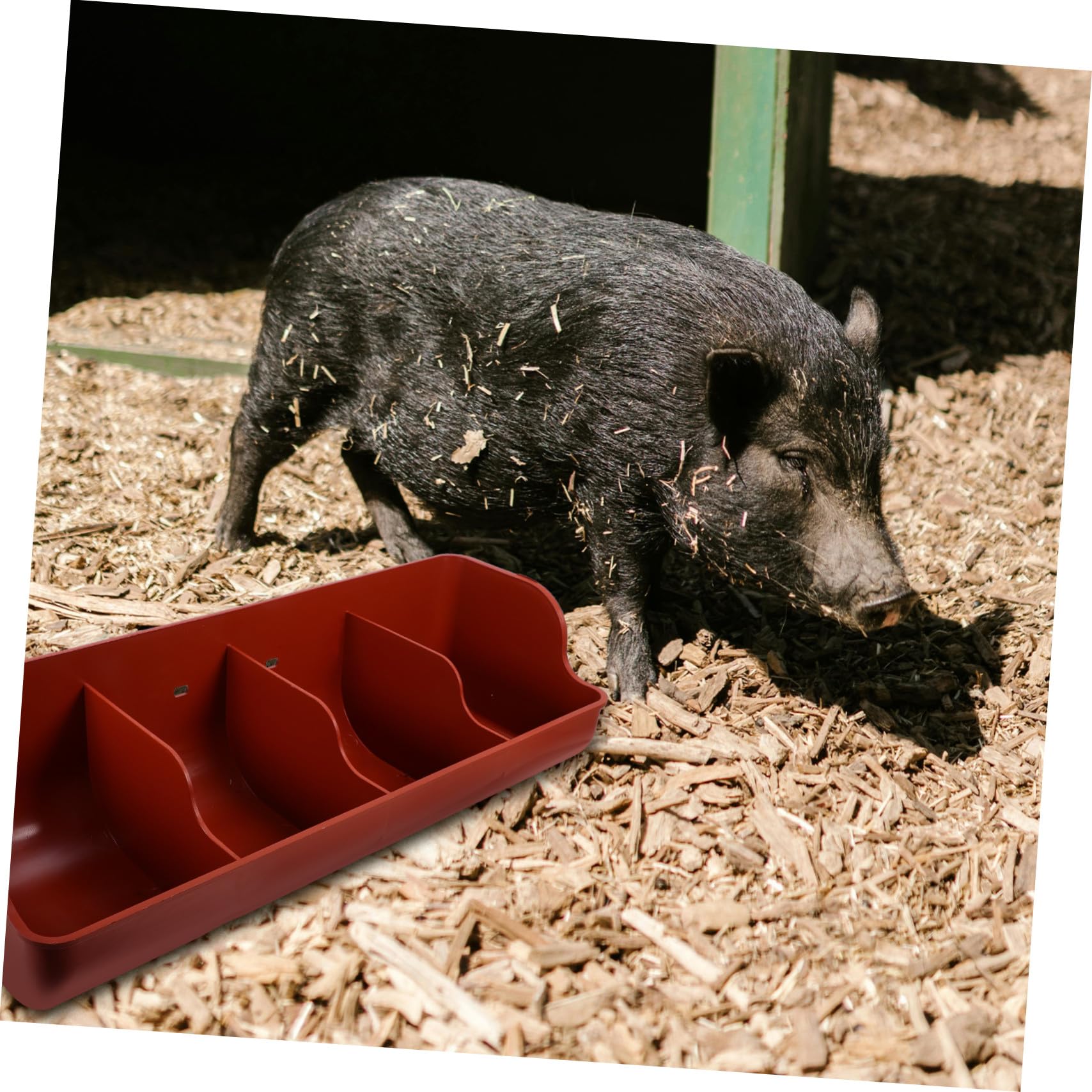 VICASKY Mangiatoia per Maiali e Capre 4 Scomparti Trogolo Alimentare per Animali da Allevamento in Plastica Resistente all'Usura e Agli Urati, per Allevamento Suino e Caprino