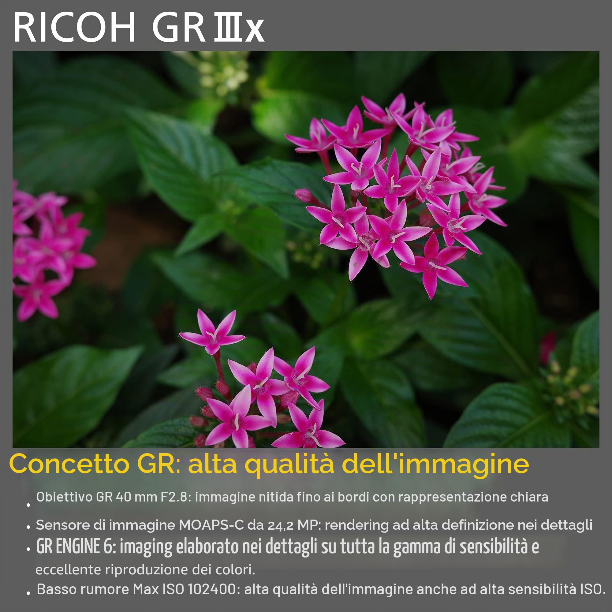 Fotocamera digitale Ricoh GR IIIx [Lung. f. 40 mm] [Dotata di sensore CMOS da 24,2 M APS-C ] [La fotocamera istantanea per eccellenza] [Avvio in circa 0,8 secondi] [AF ad alta velocità]