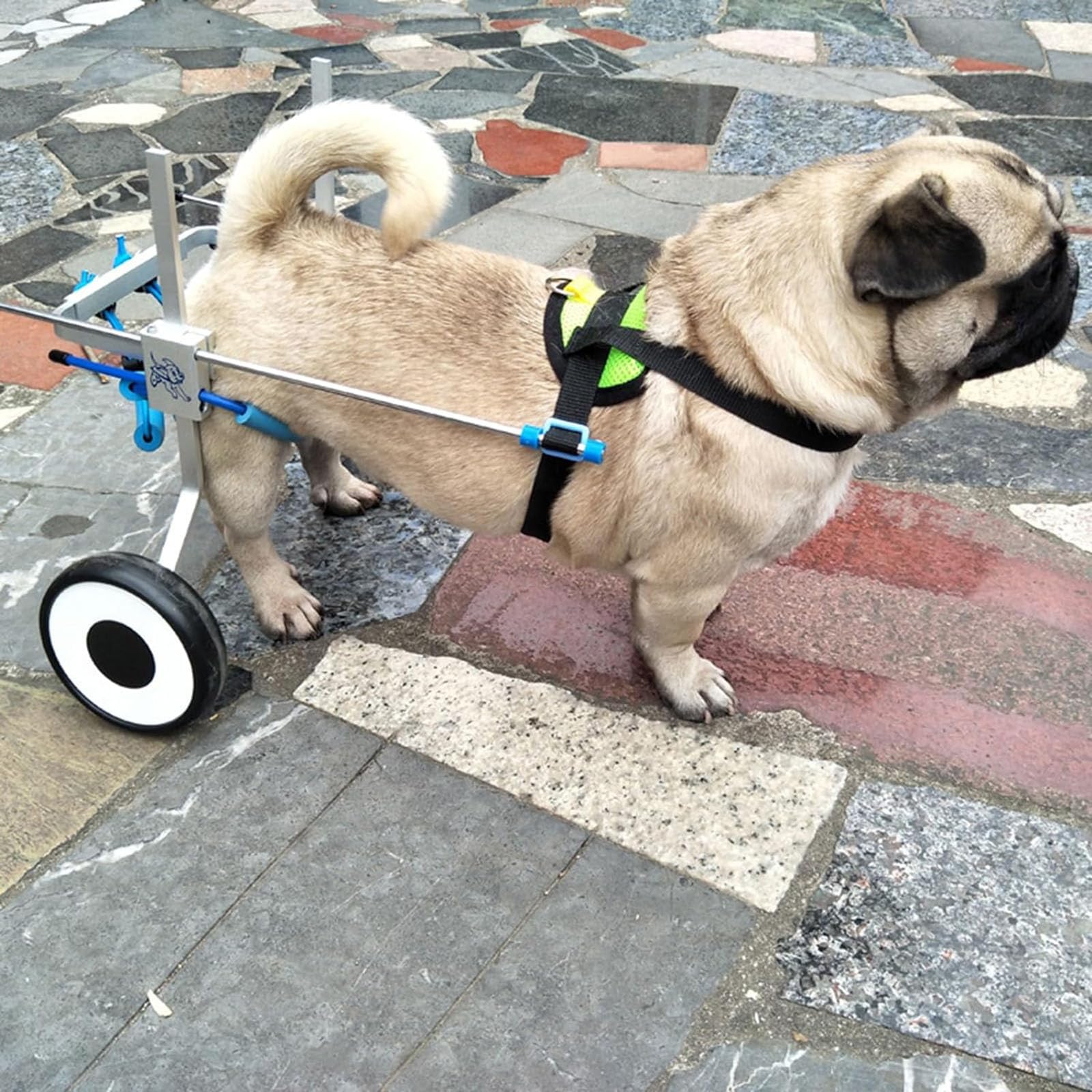 Silla de ruedas para perros de dos ruedas: arnés ajustable de rehabilitación