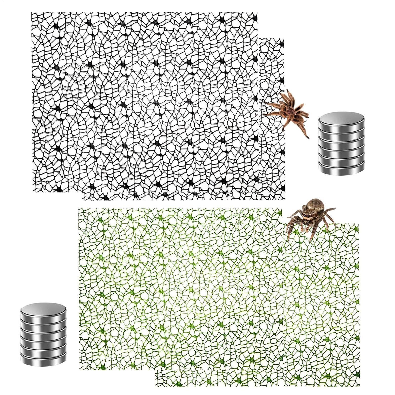 Jumping Spider Climbing Web Tarantula Toys