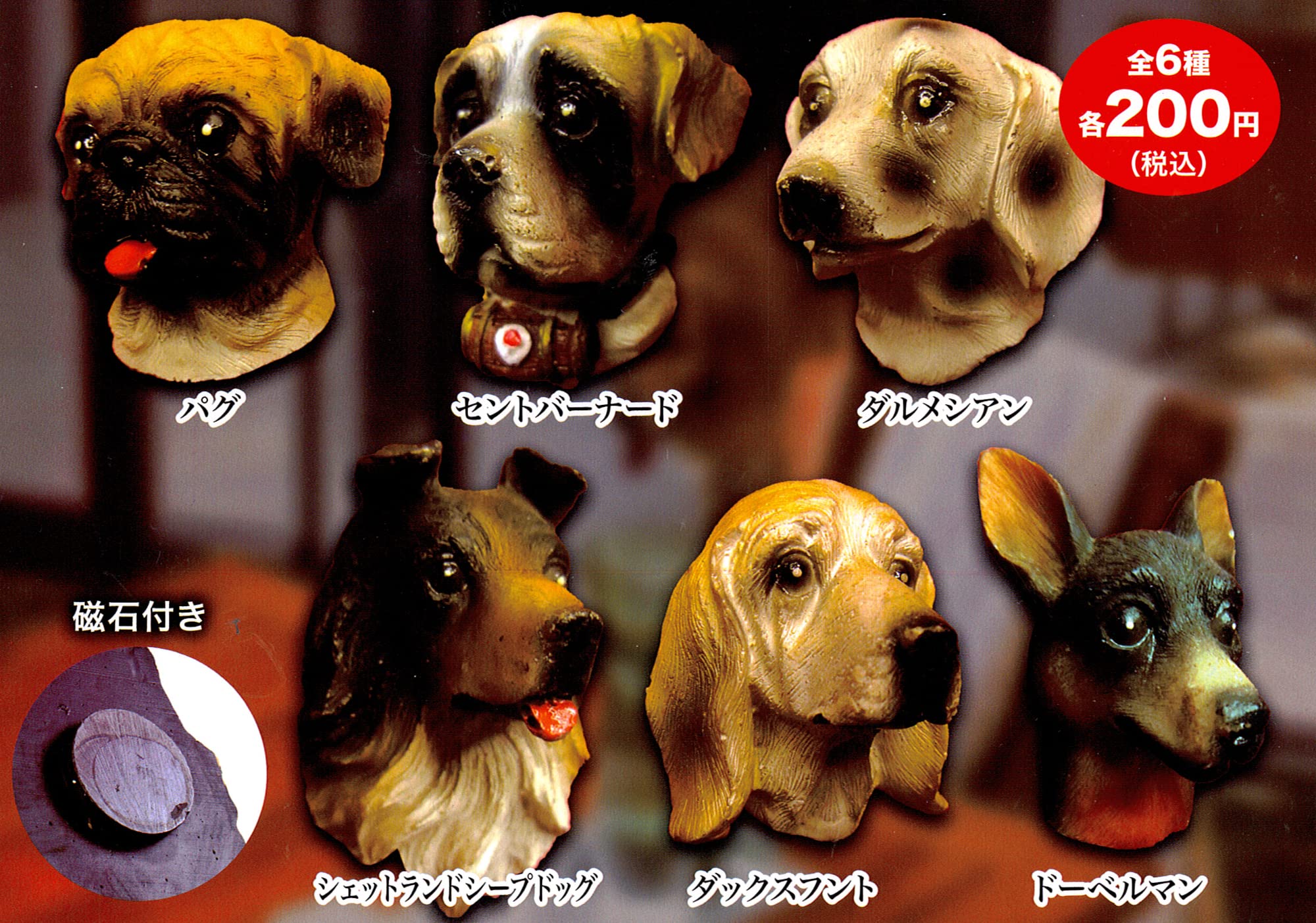 Amazon.co.jp: REAL DOG FACE MAGNET リアルドッグフェイスマグネット