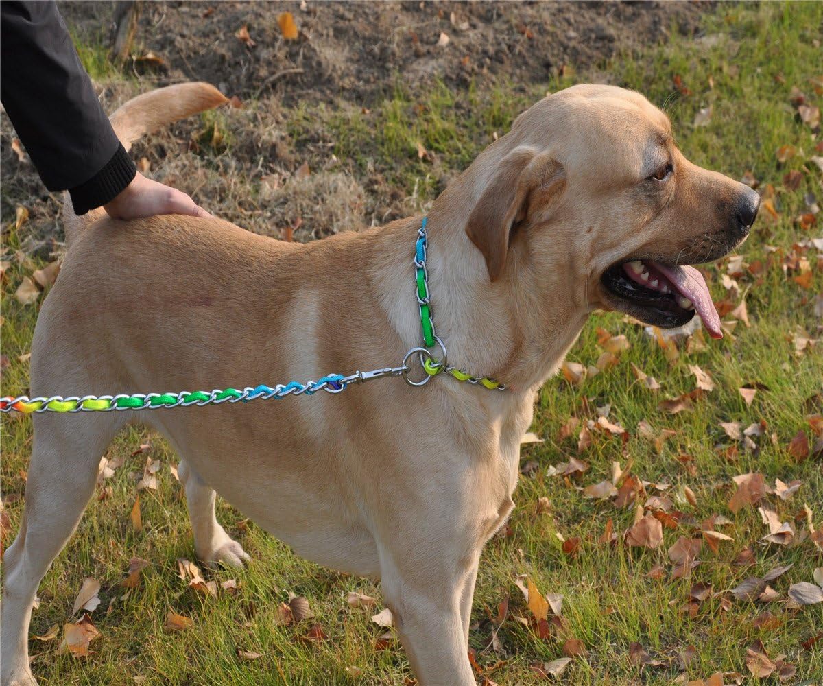 Rainbow Color Stainless Steel P Chock Metal Chain Training Dog Pet Collars Necklace Walking Training Pet Supplies for Small Medium Large Dogs (3.0mm*45cm/(17.7")(Collar)) image 5