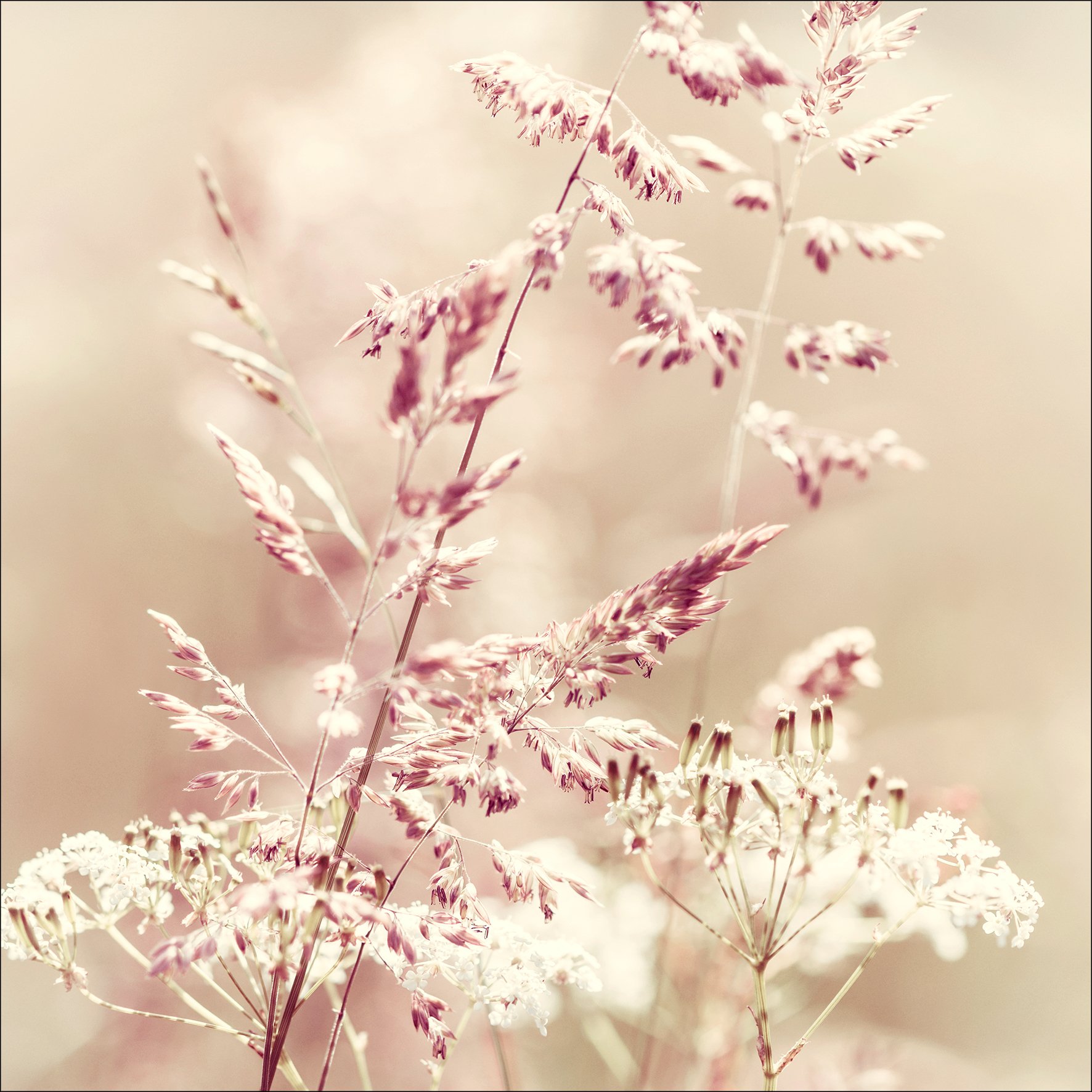 Pro-Art-Bilderpalette De Photos Palette Gla1295d Sea Harmony Type