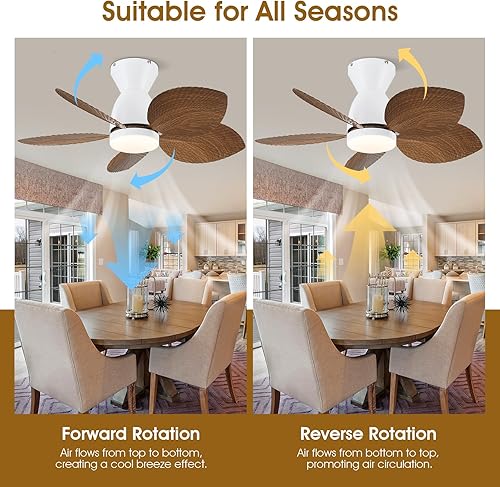 Miniatura 7 de Kviflon Ventiladores de techo de 30 pulgadas con luces y control remotoaplicación, ventilador de techo tropical de bajo perfil para interiores y