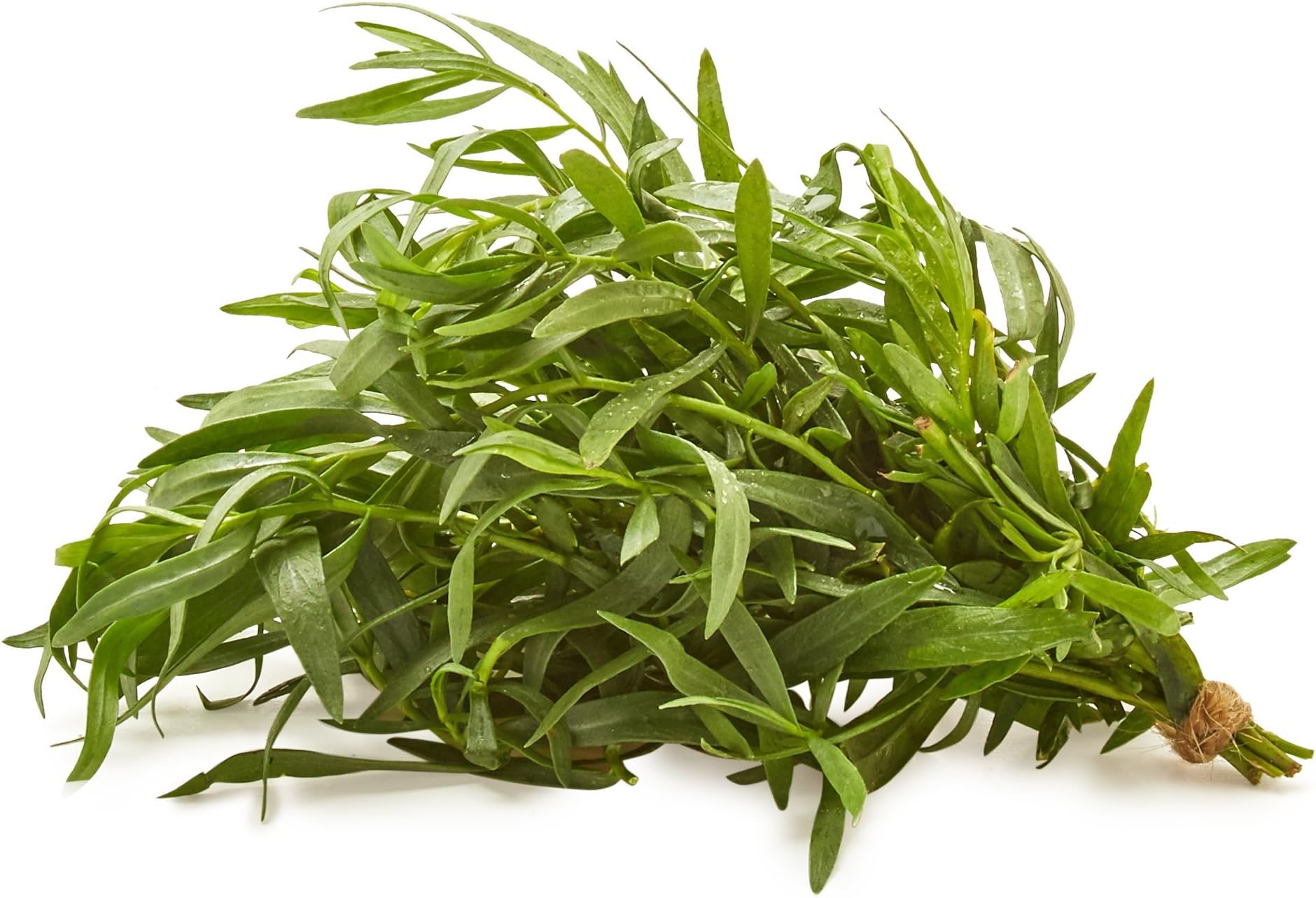 Organic Tarragon, 0.75 oz Clamshell