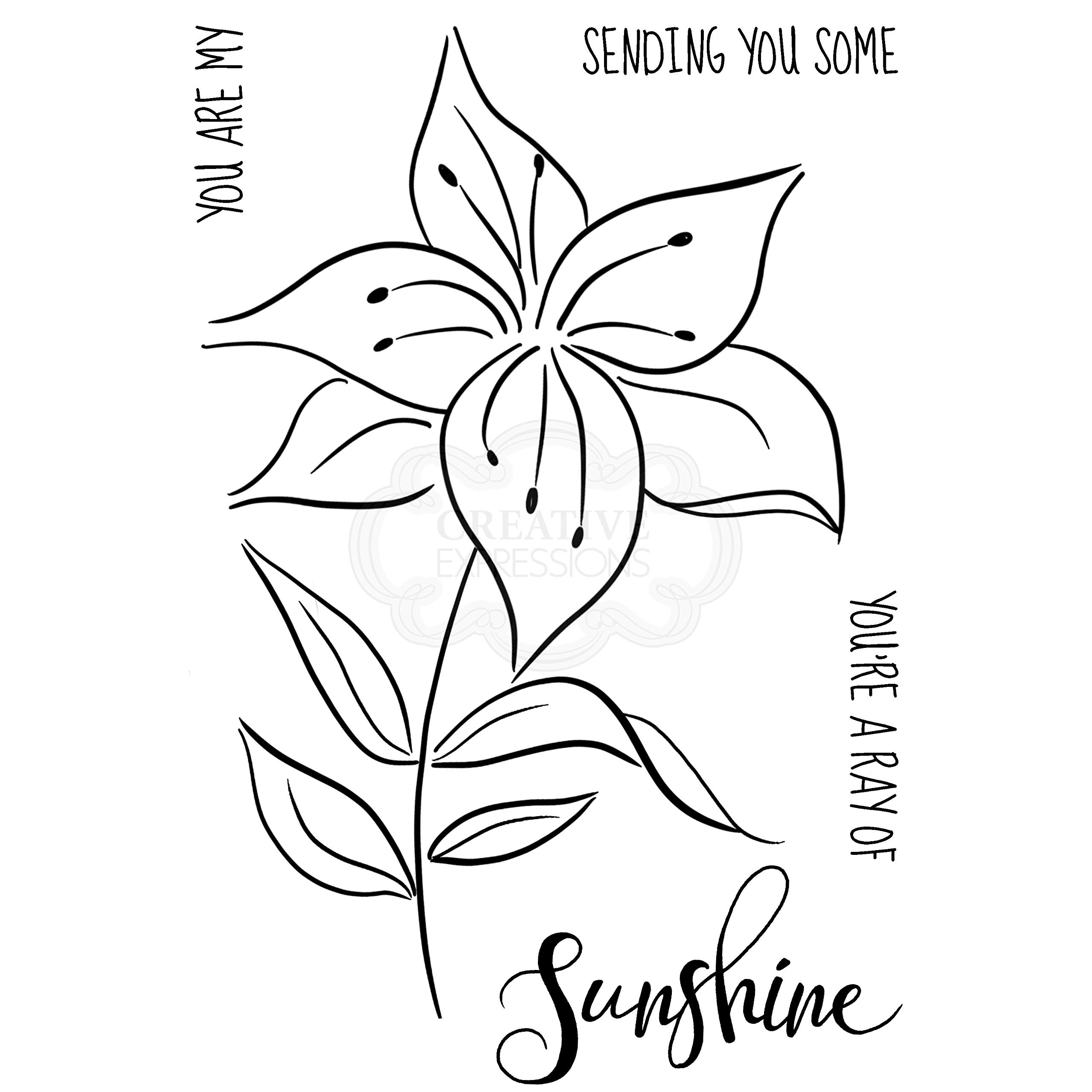 Woodware Transparent Jane Gill - Clear Singles Lily Sketch - Stamp,