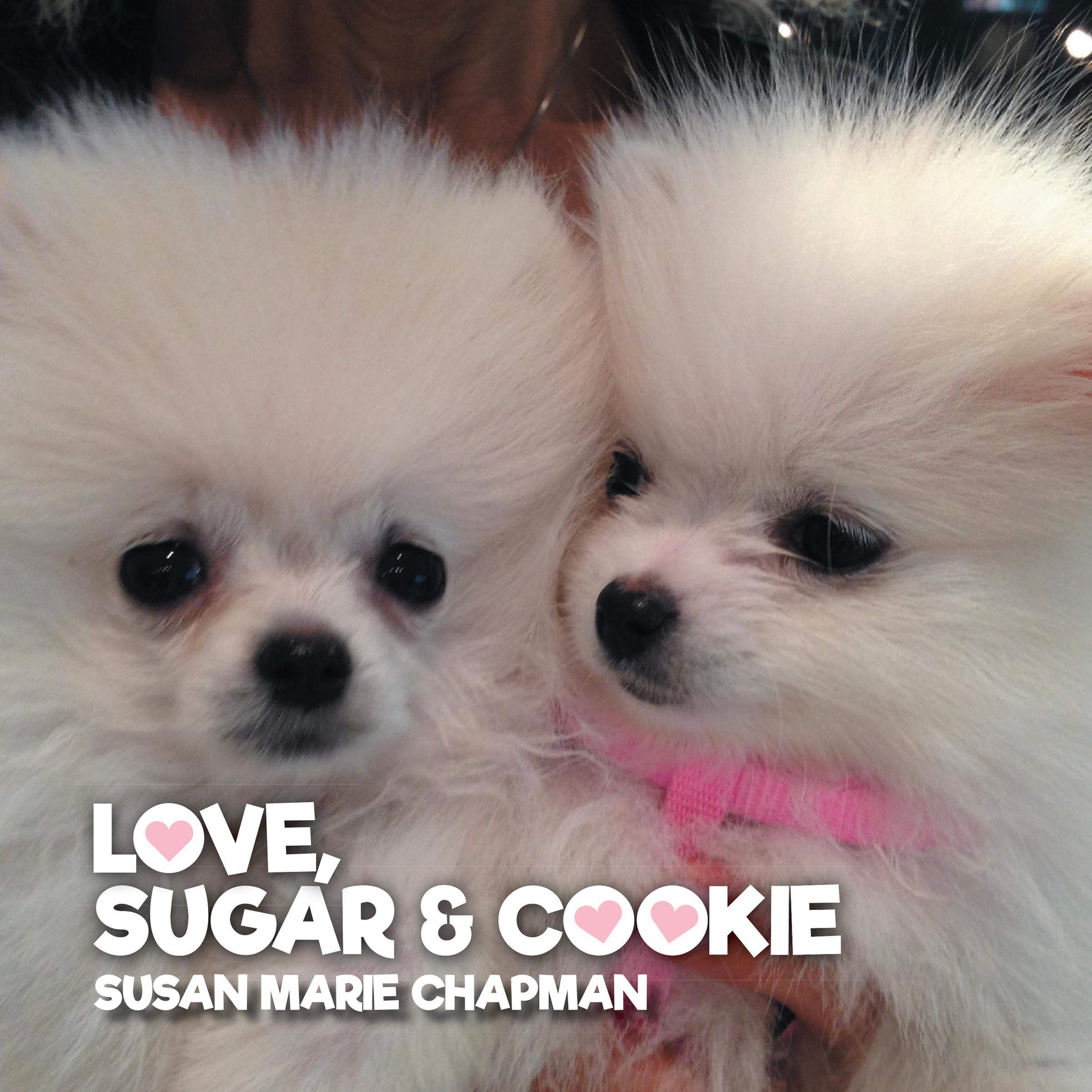 Love, Sugar & Cookie