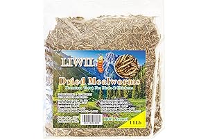Dried Mealworms: Nature's Protein Powerhouse for Wildlife and Pets