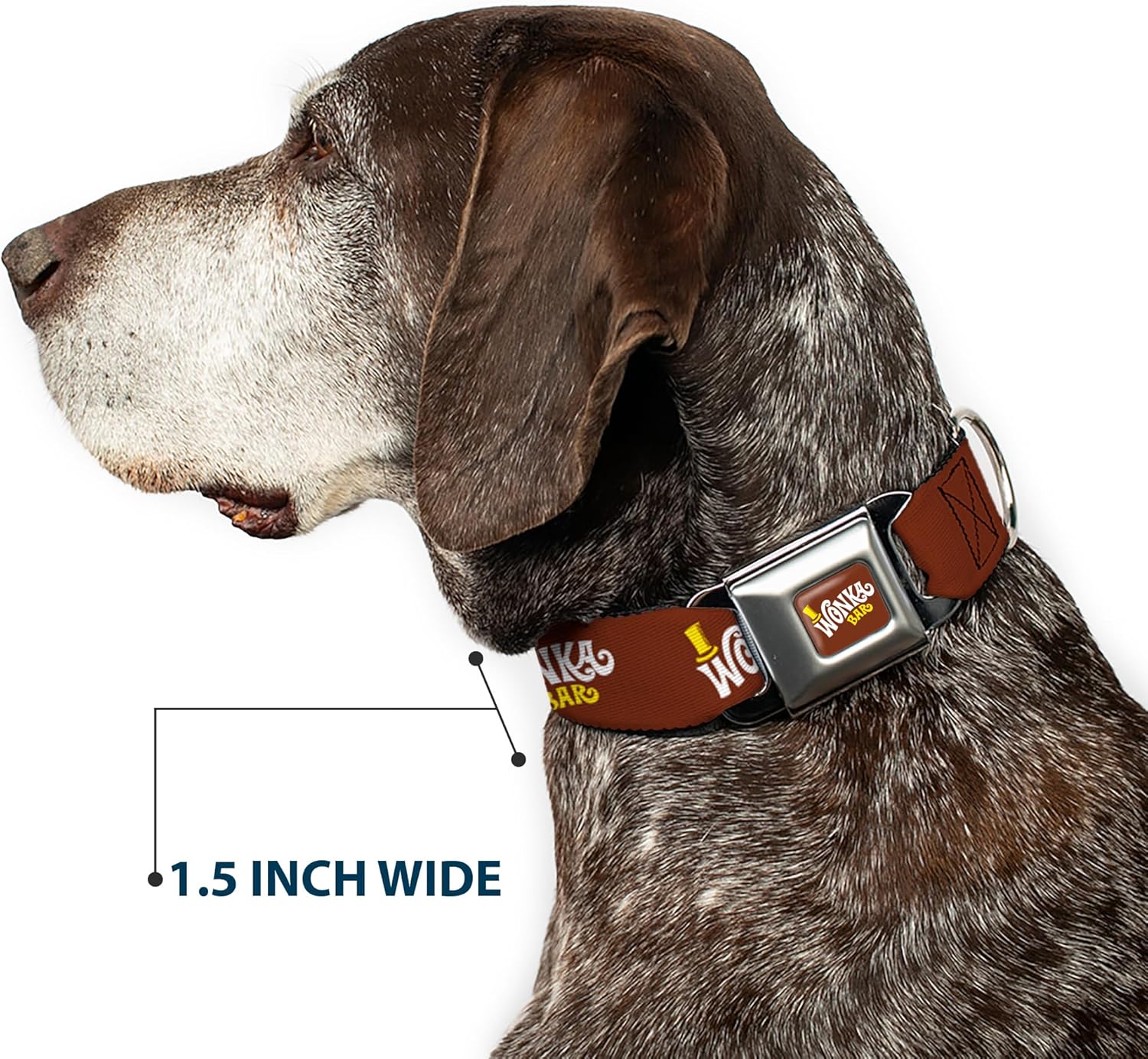 Movies Pet Collar, Dog Collar Metal Seatbelt Buckle, Willy Wonka and The Chocolate Factory Wonka Bar Logo, 16 to 23 Inches 1.5 Inch Wide