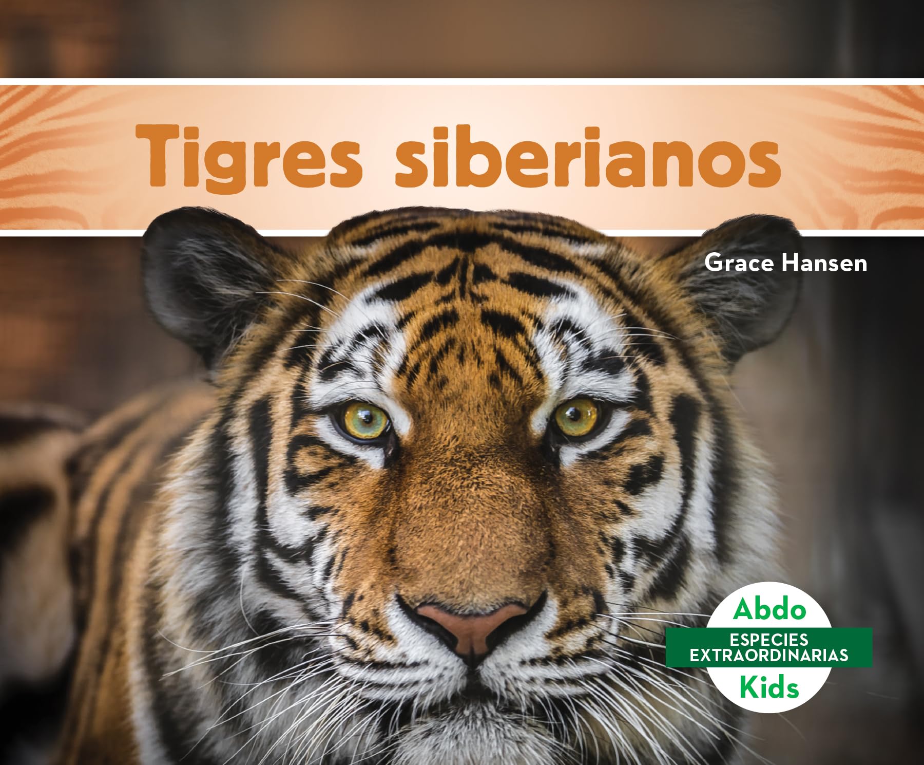Tigres siberianos / Siberian Tigers (Especies Extraordinarias Set 2 (Super Species)) (Spanish Edition)