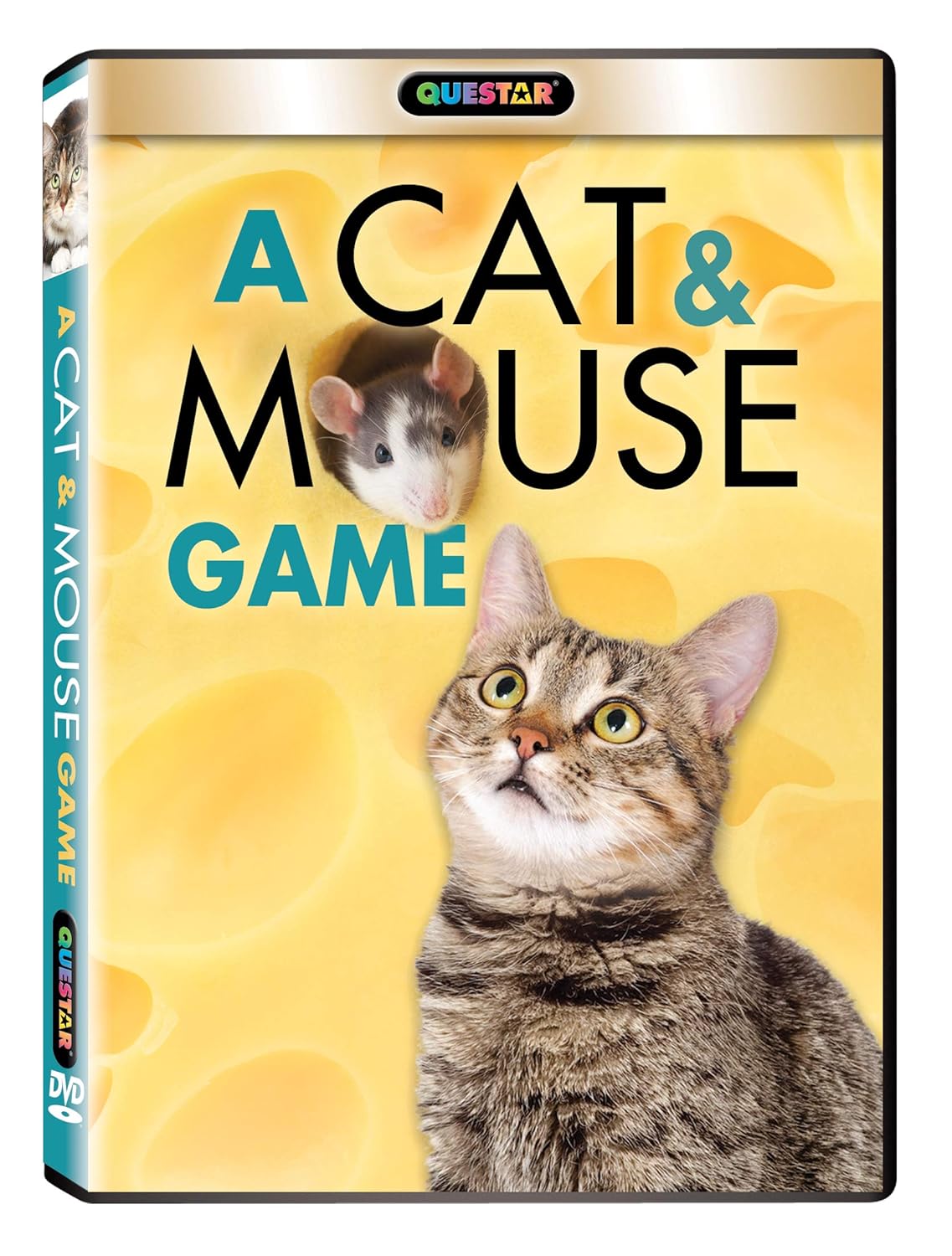 A Cat and Mouse Game Marcel (the cat), Chewy (the mouse