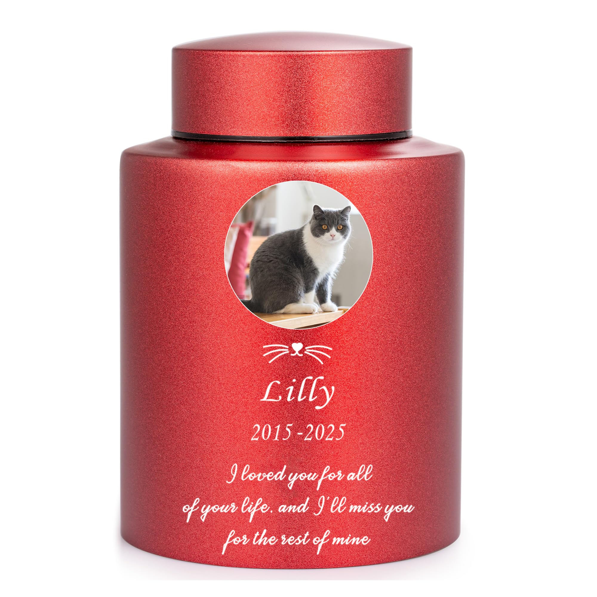 Whisker Design Cremation Urn for Cat Ashes with Photo, Name & Date - Personalized Memorial Keepsake, 2 Sizes, Pet Sympathy Gift