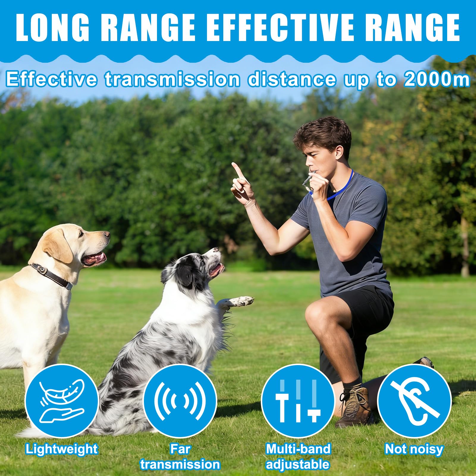 QLK 4 PCS Sifflet Ultrason Chien, Sifflet Chien Rappel à Fréquence Réglable, Accessoires de Chien Dressage à Haute Fréquence, Anti Aboiement Chien Ultrason avec Lanière