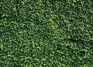 SJOLOON 7x5ft Green Leaves Wall Backdrop Birthday Party Photography Backdrops Spring Newborn Baby Shower Photo Backdrop Banner Wedding Photo Background Vinyl Studio Booth Props 10923