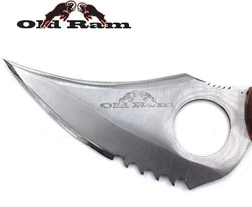 Miniatura 3 de Collection - Cuchillo de sierra de hoja fija resistente y multicolor