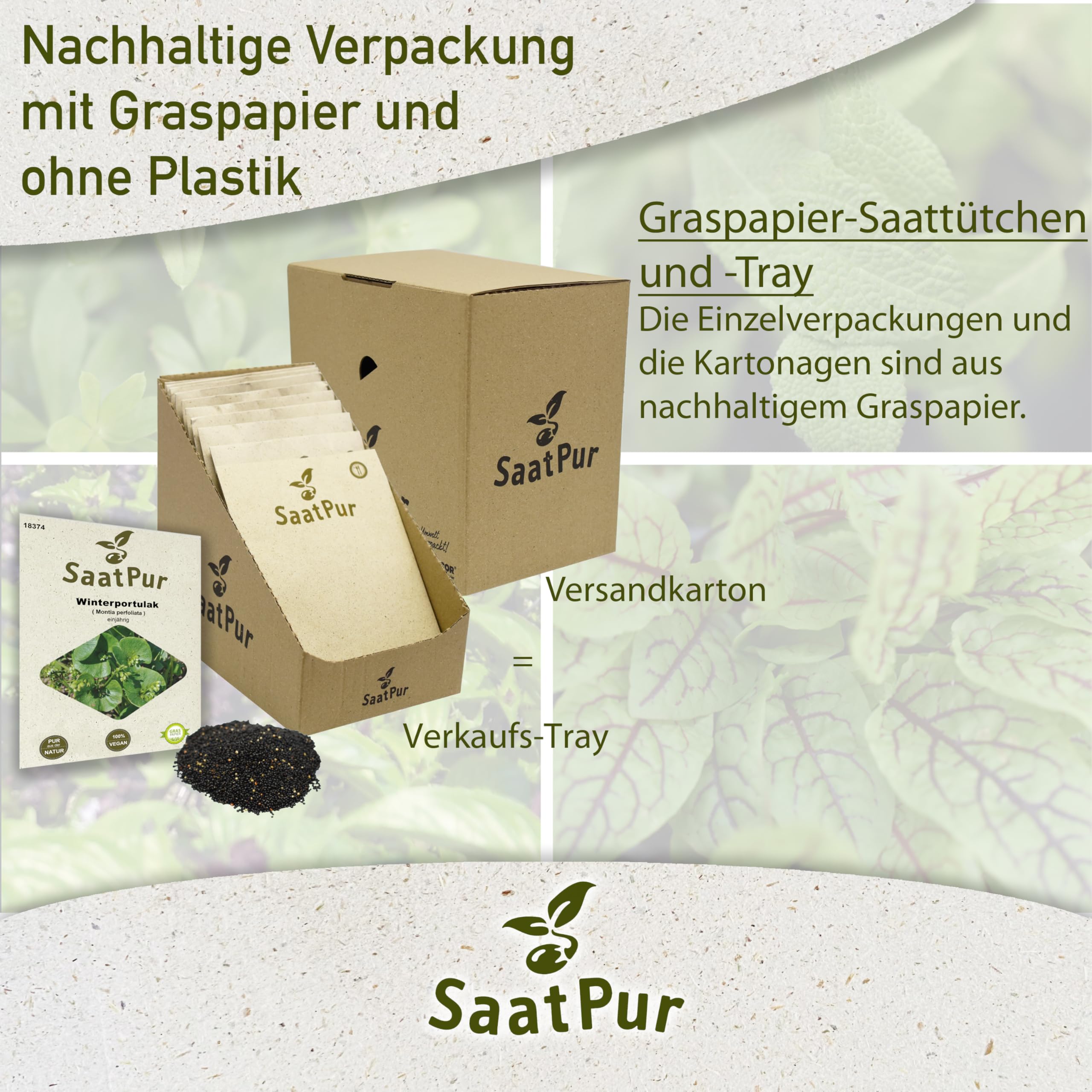 SaatPur Winterportulak Samen, Saatgut - Kleines Tray mit 25 Portionstüten für je ca. 1500 Pflanzen