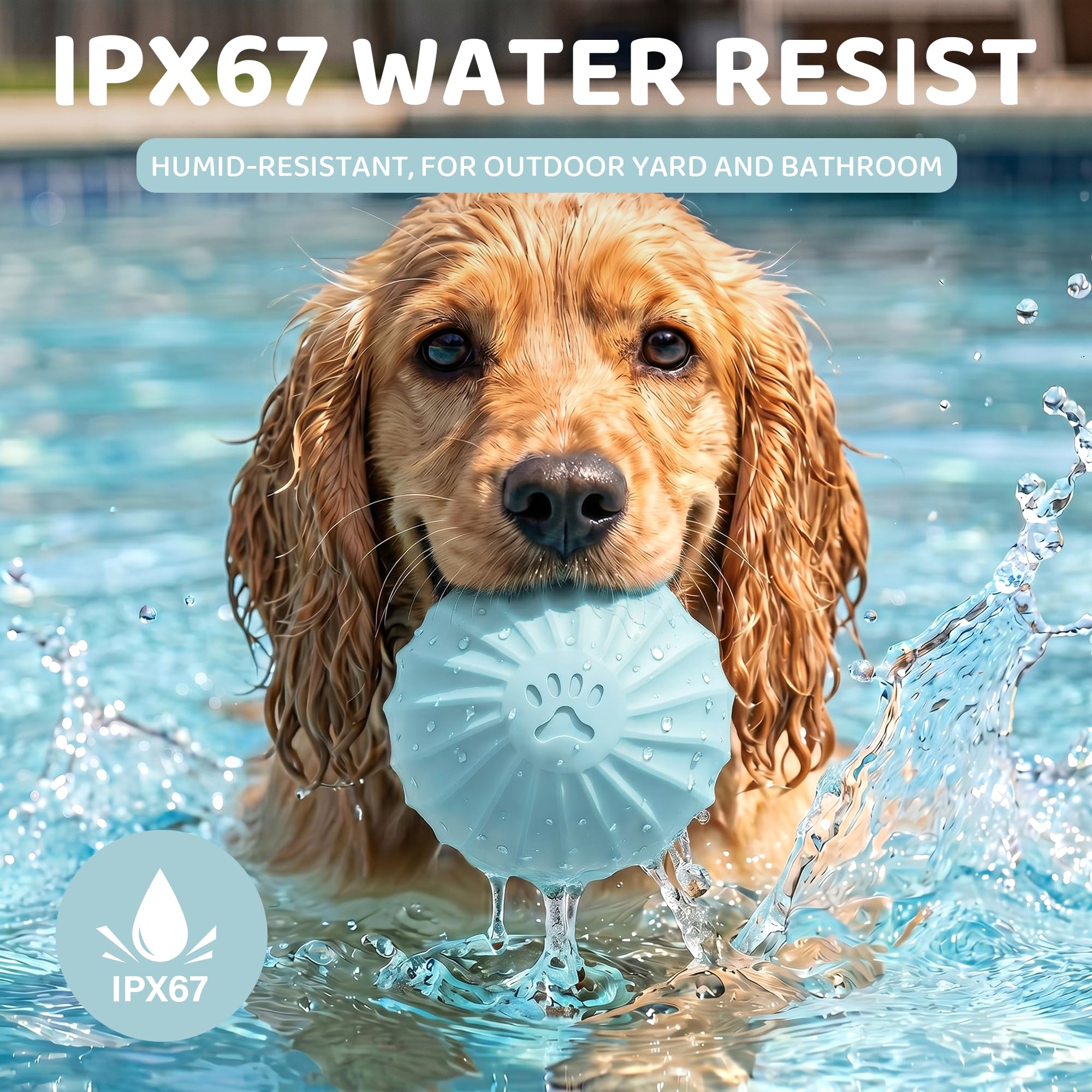 Jouet interactif pour chien et chat - Balle électrique avec activation tactile - 2 modes - Étanchéité IPX67 - Coque résistante aux morsures - Rechargeable USB-C - Jouet intelligent - 74 mm