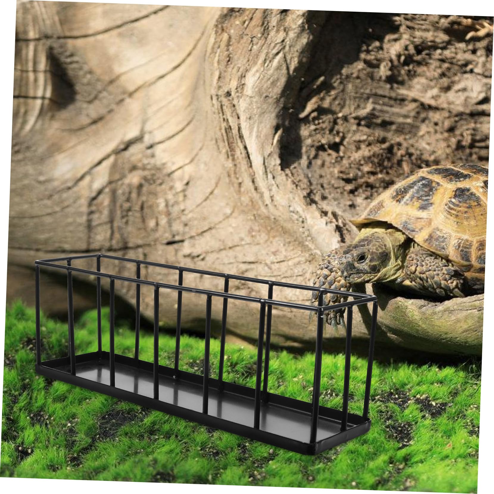 TEHAUX Comedero para Reptiles de Acero Inoxidable Antióxido Cuenco Resistente para Tortugas y Tortoisas Alimentador Seguro y Fácil de Limpiar para Terrarios y Animales Terrestres