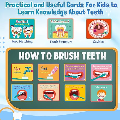 Miniatura 3 de Skylety Juego de 2 juegos para dentistas, modelo de dientes dentales con cepillo de dientes, tarjetas educativas, tamaño estándar