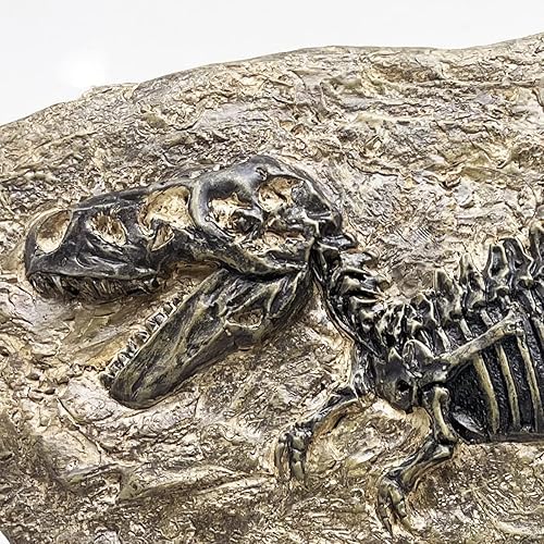 Miniatura 4 de Estatua de fósil de dinosaurio tiranosaurio Rex de resina modelo de esqueleto simulado para oficina en casa decoración de caja de manualidades