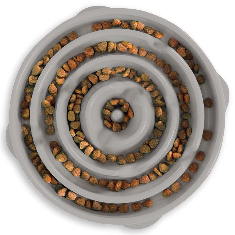 Comedouro lento para cães Outward Hound Fun Feeder Slo Bowl Drop, nível Slowest, Cinza, Grande