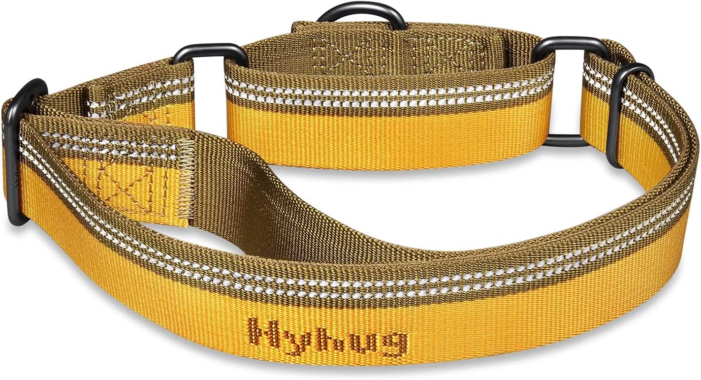 Hyhug Pets Reflective Dog Collar (2021 New) with Nice Jacquard Weave Nylon for Small Dogs Daily Walking and Professional Training. (Small, Tapenade) : Pet Supplies