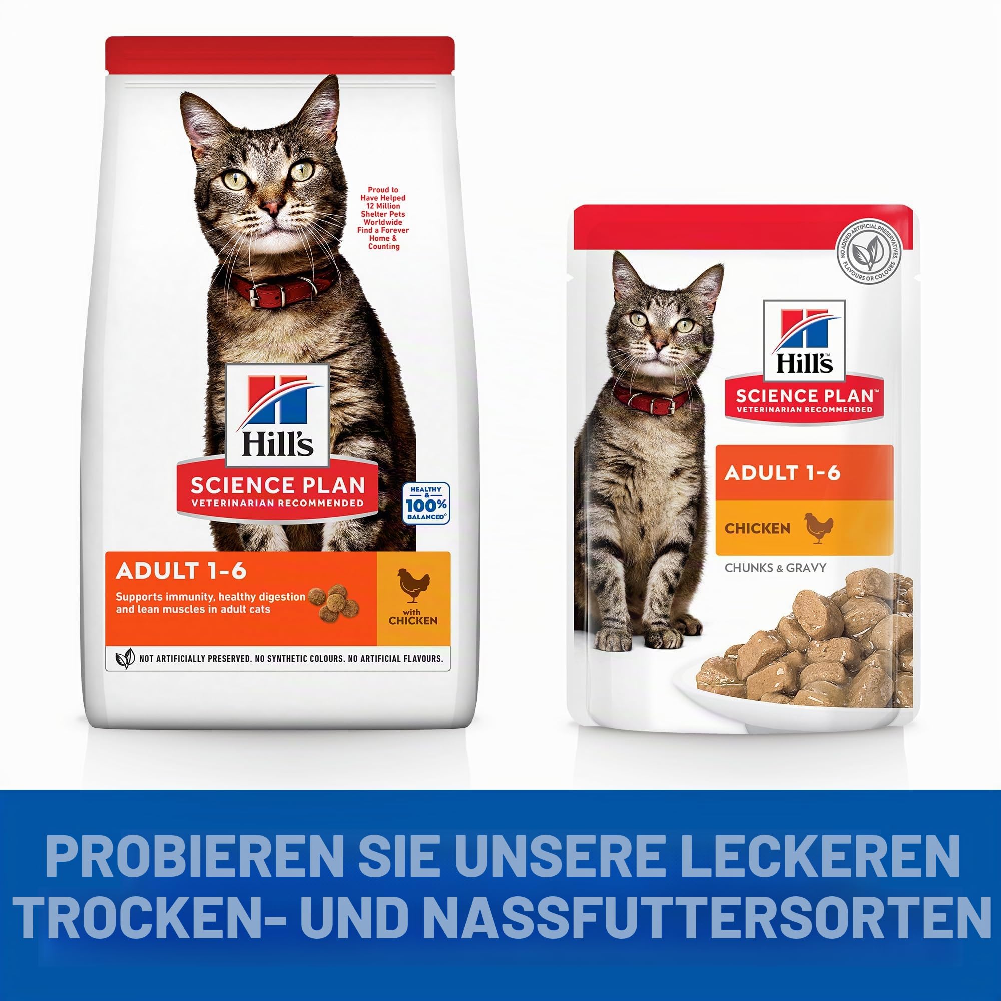 Hill's Feline Adult Kip 3 kg