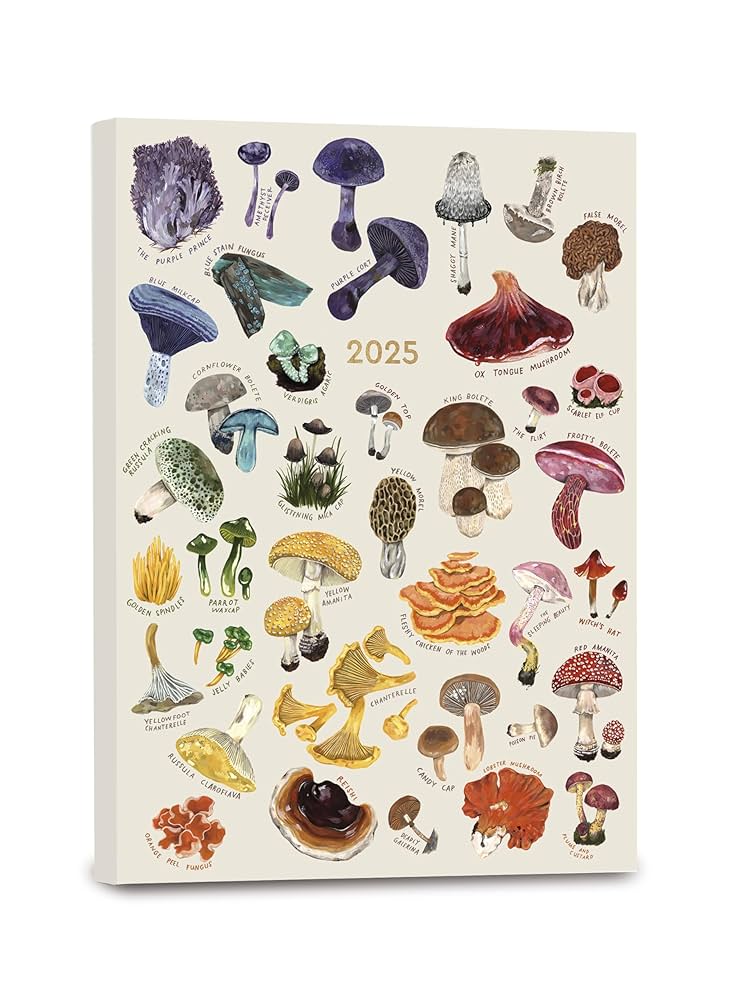 健康・医学 year note 2026 健康・医学 Year Note 2026 2026 ICD-10-CM Code Books: AMA